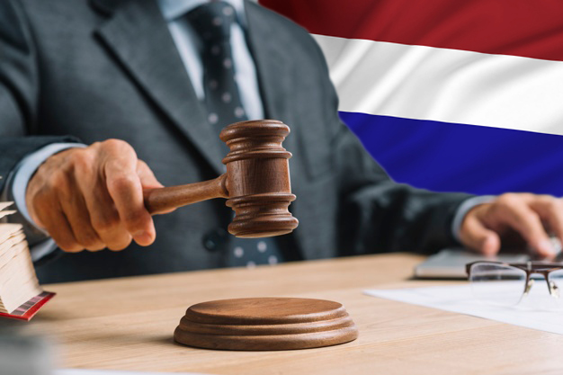 Read more about the article Minimal Reasonable Change of Dutch Nationality Law