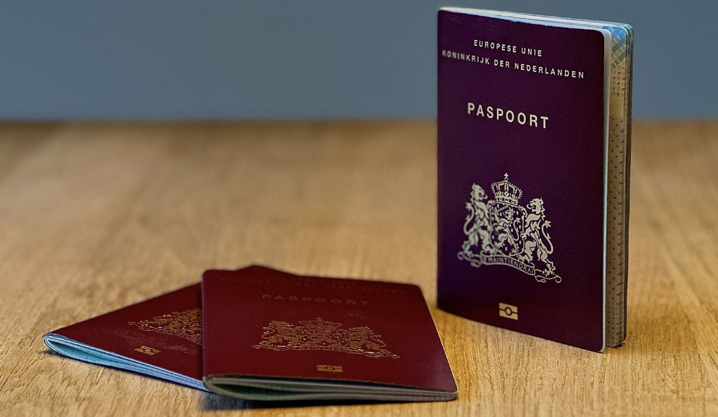 Read more about the article Current Delays in Renewing Your Dutch Passport